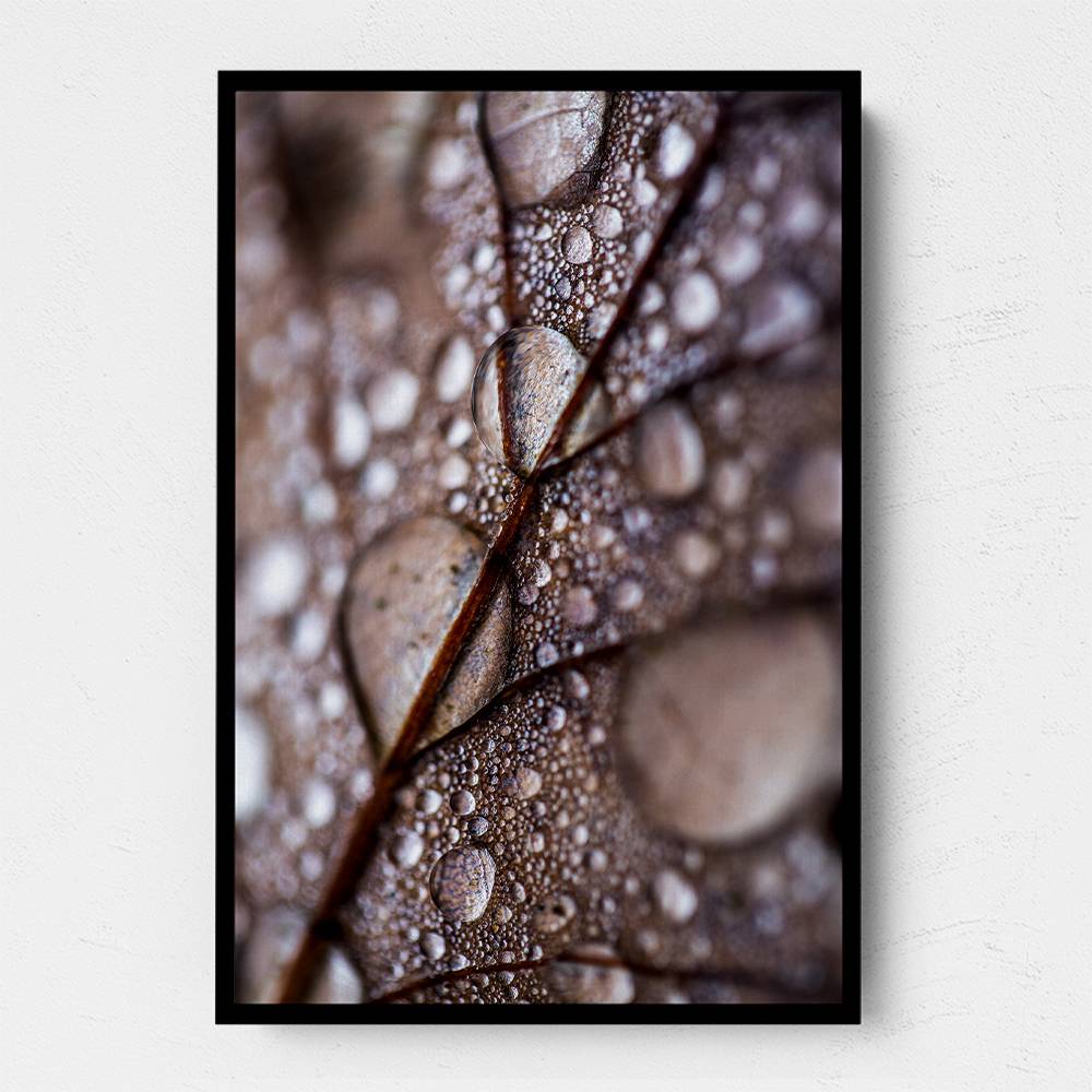 Autumn Rain Wall Art