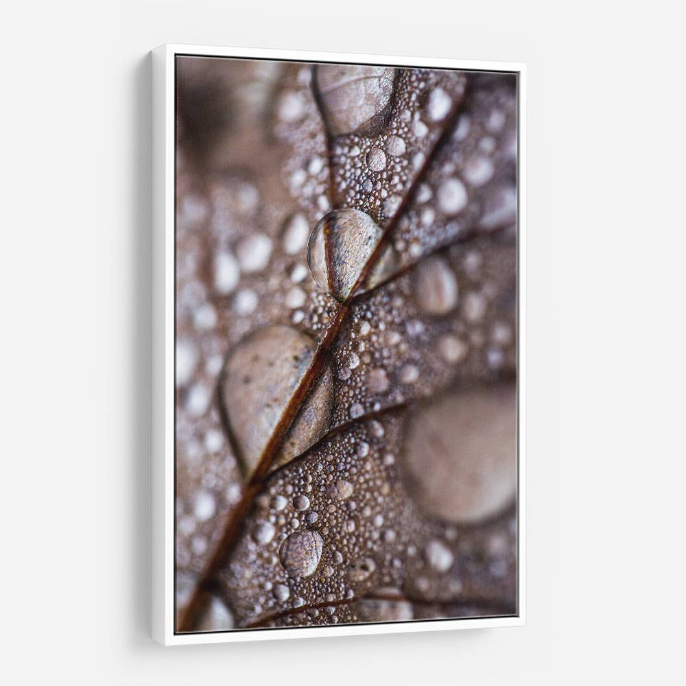 Autumn Rain Wall Art