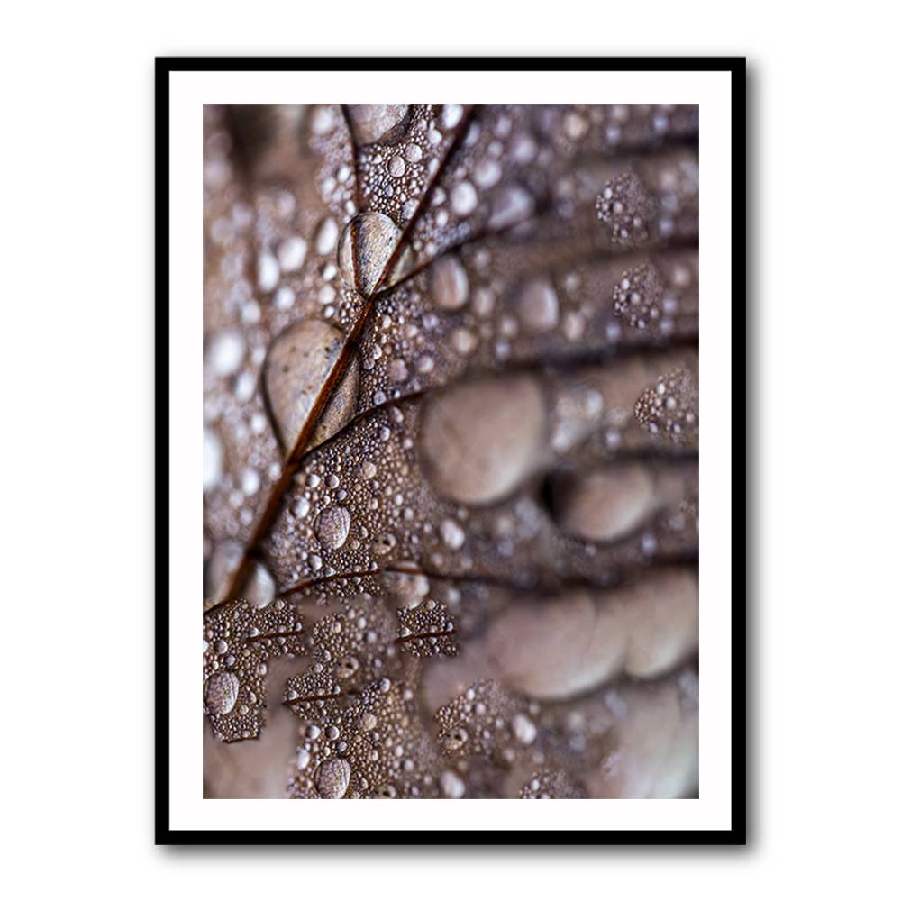 Autumn Rain Wall Art