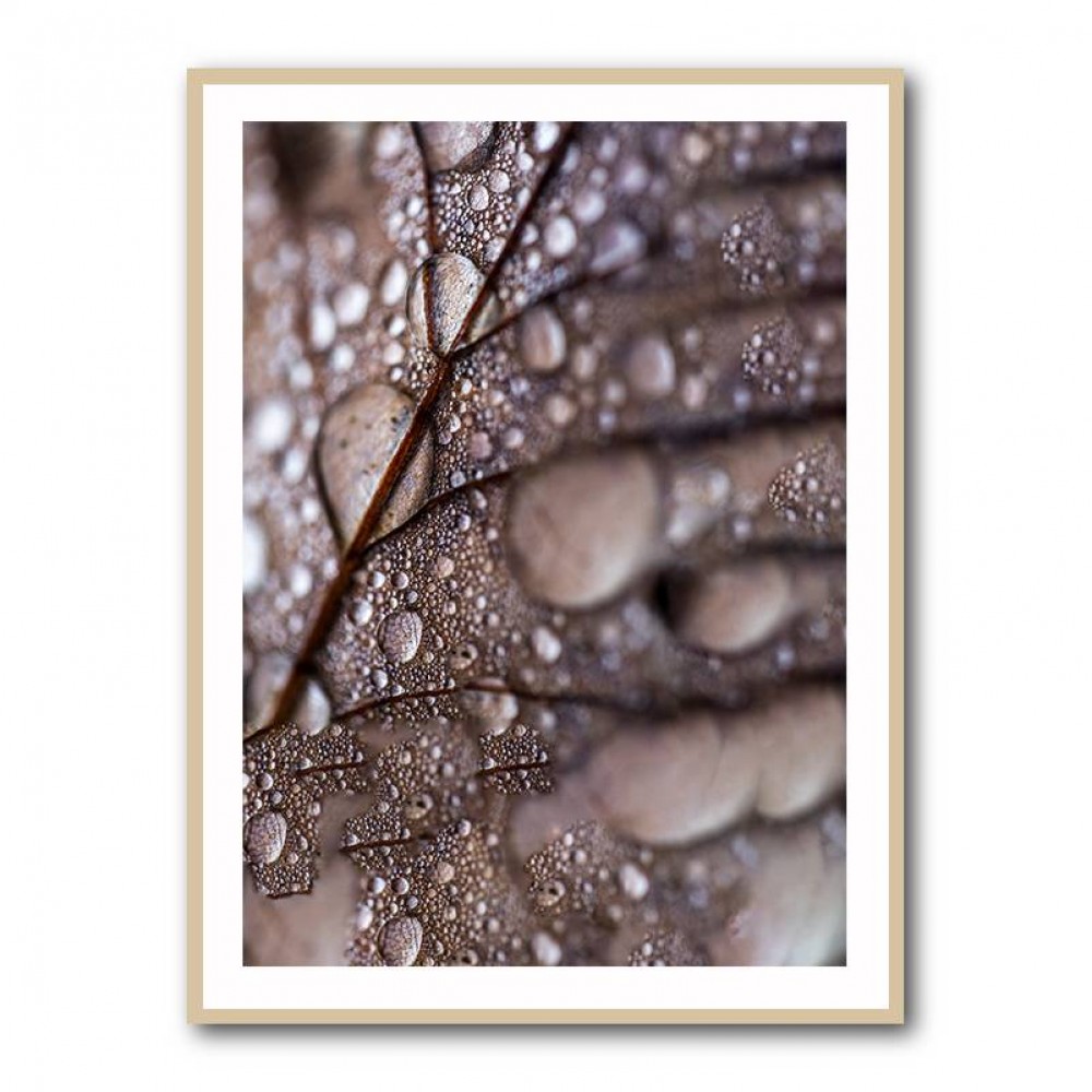 Autumn Rain Wall Art