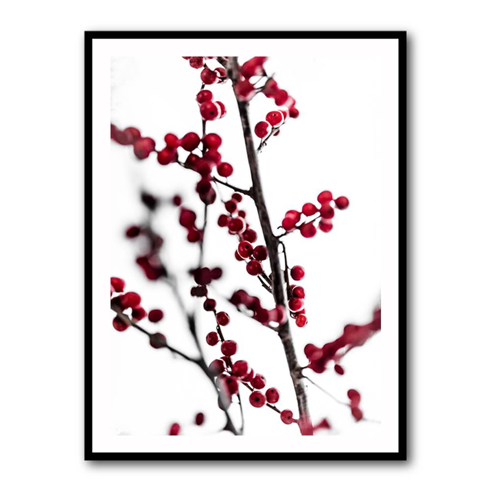 Red Berries 1 Wall Art