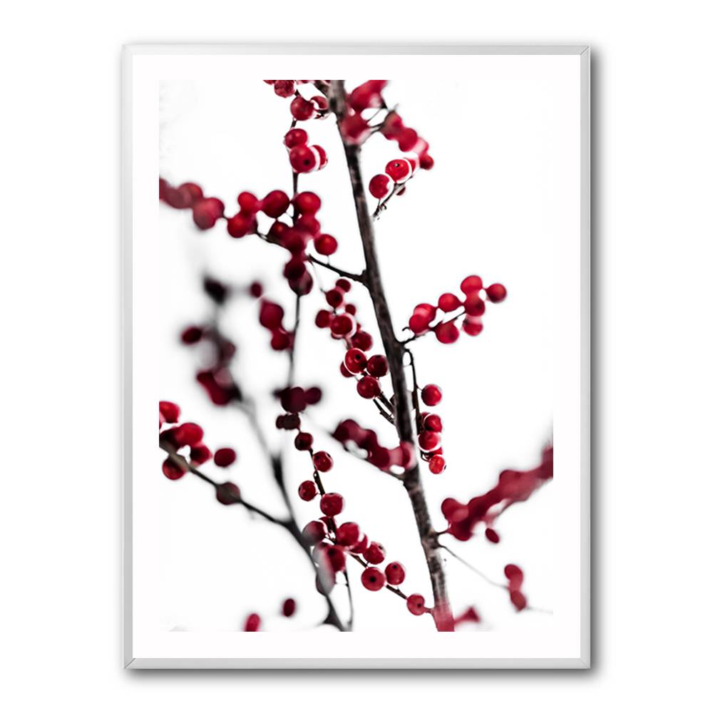 Red Berries 1 Wall Art