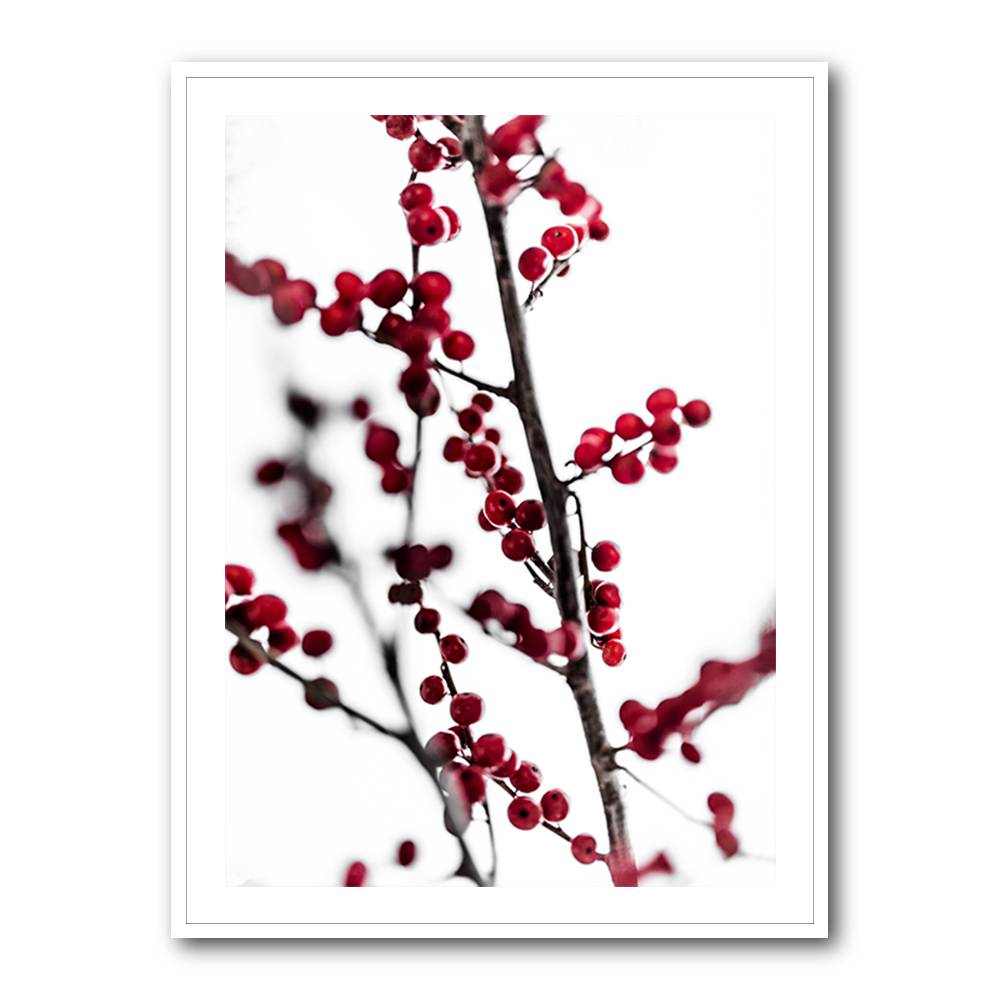 Red Berries 1 Wall Art