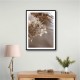 Hydrangea 1 Wall Art