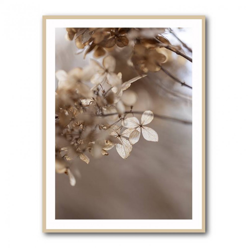 Hydrangea 1 Wall Art