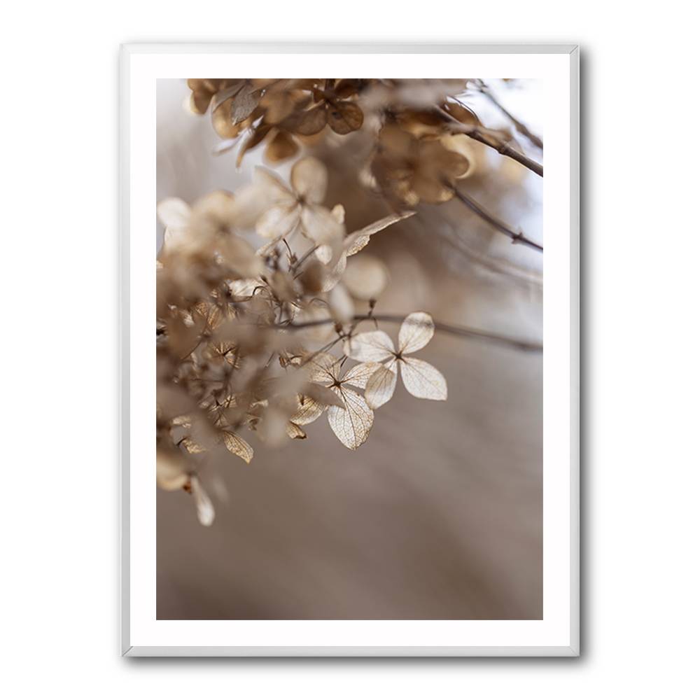 Hydrangea 1 Wall Art