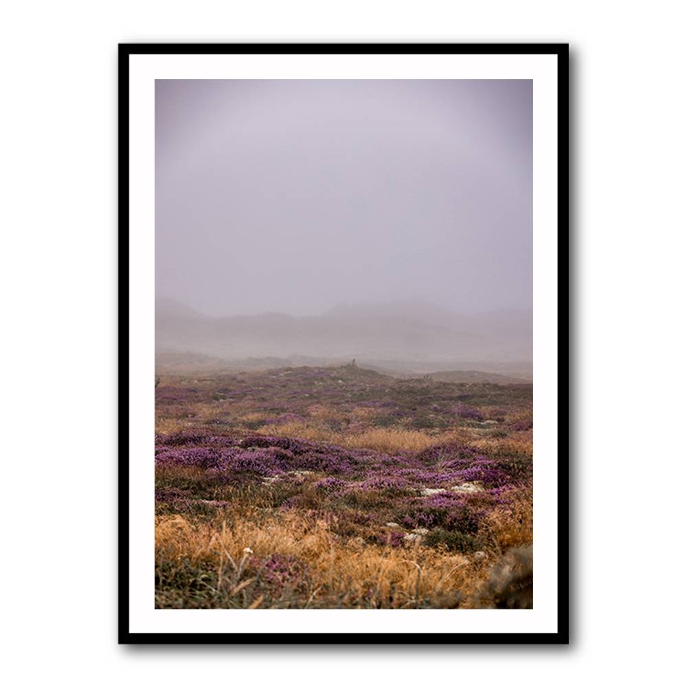 Dunes 1 Wall Art