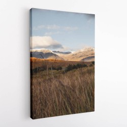 Highlands Wall Art