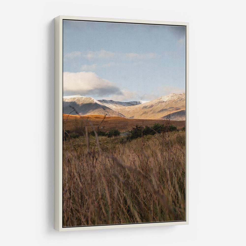 Highlands Wall Art