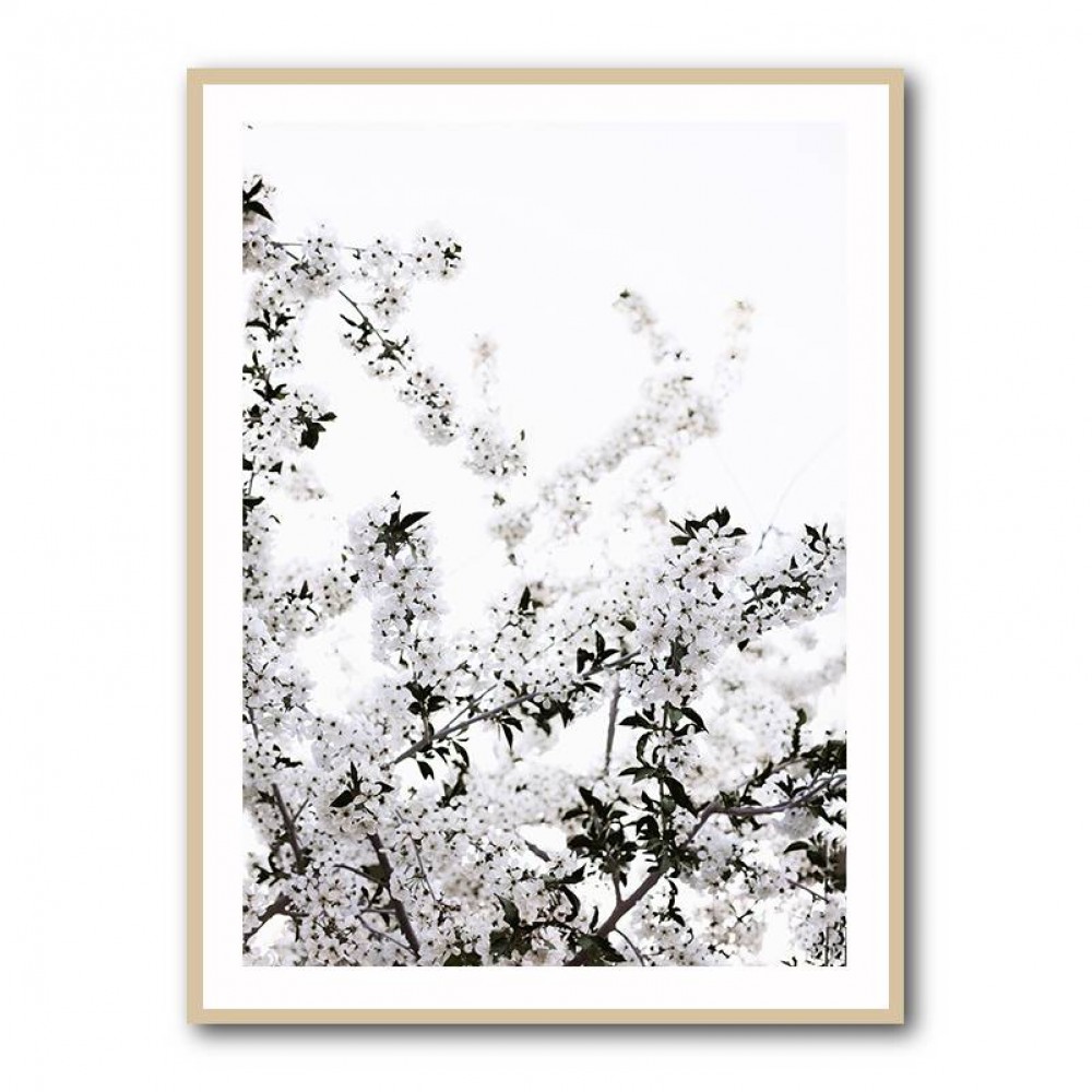 White Spring Tree 3 Wall Art