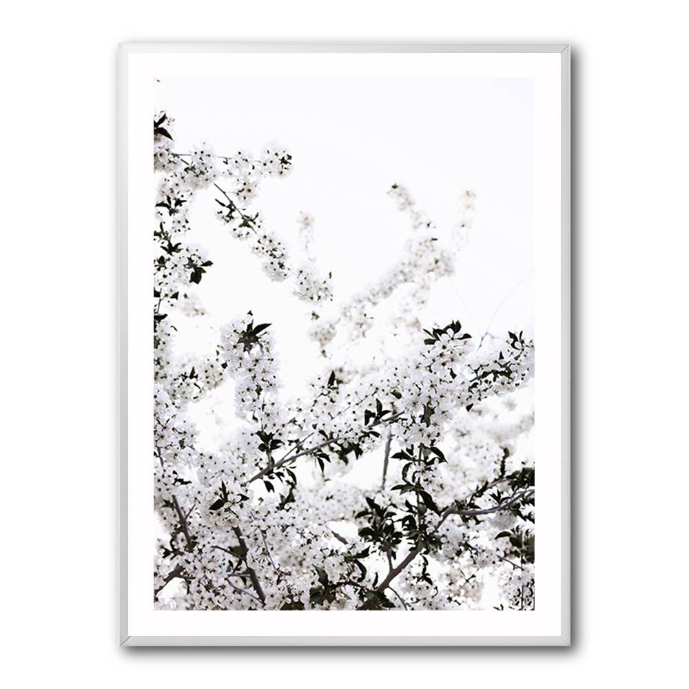 White Spring Tree 3 Wall Art