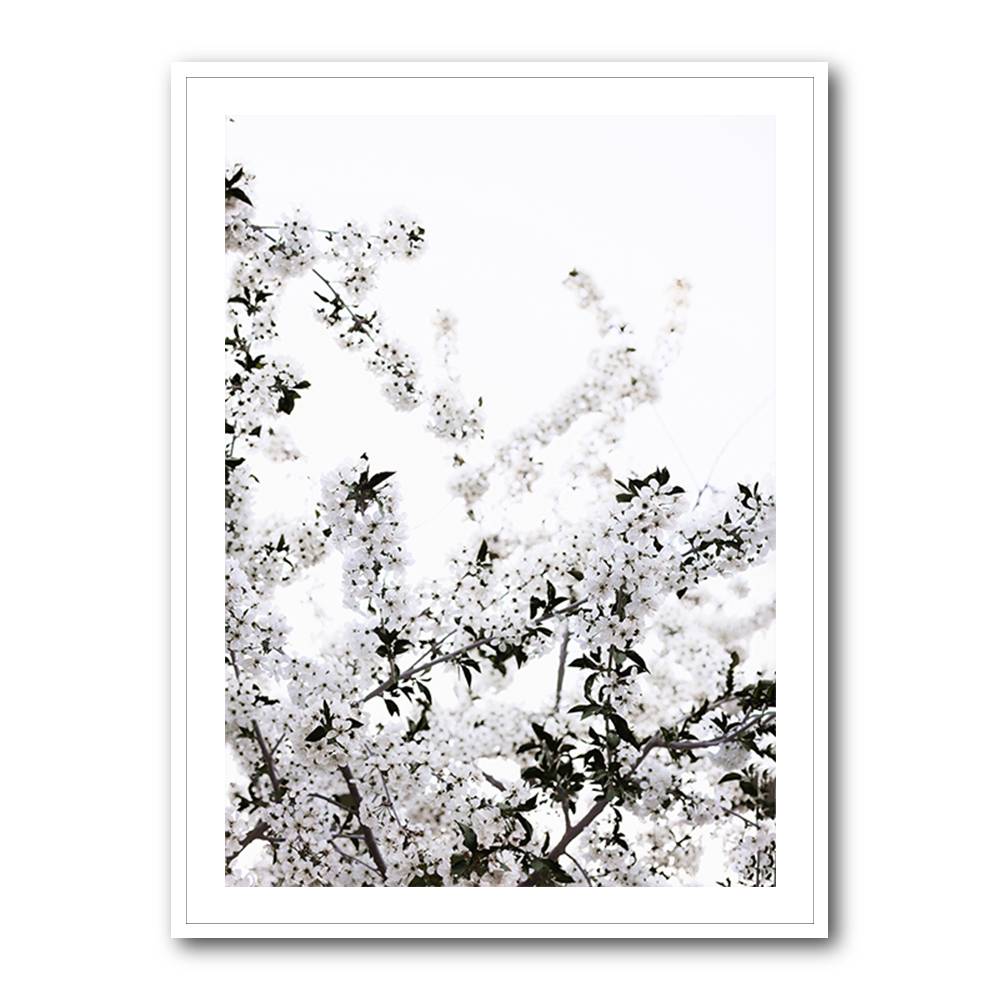 White Spring Tree 3 Wall Art