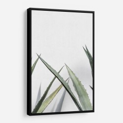 Cactus 7 Wall Art