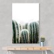 Cactus 1 Wall Art