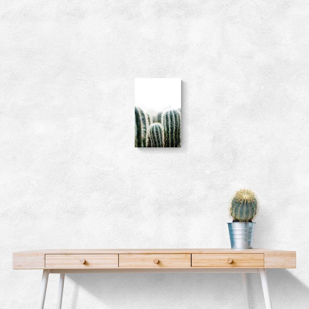 Cactus 1 Wall Art