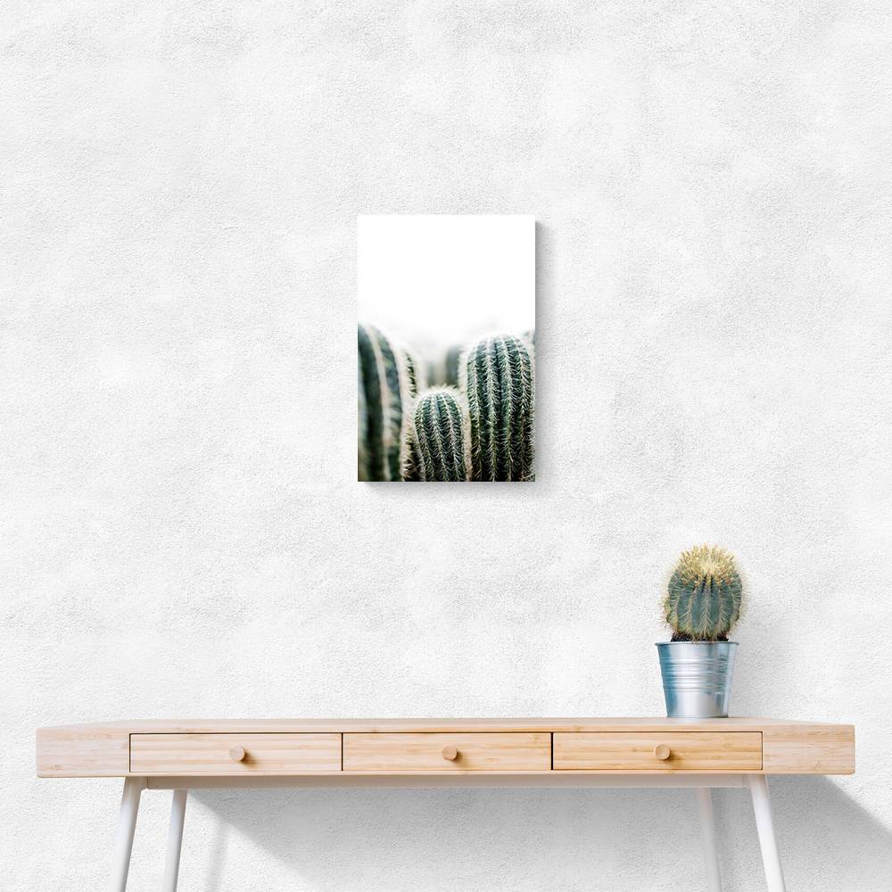 Cactus 1 Wall Art