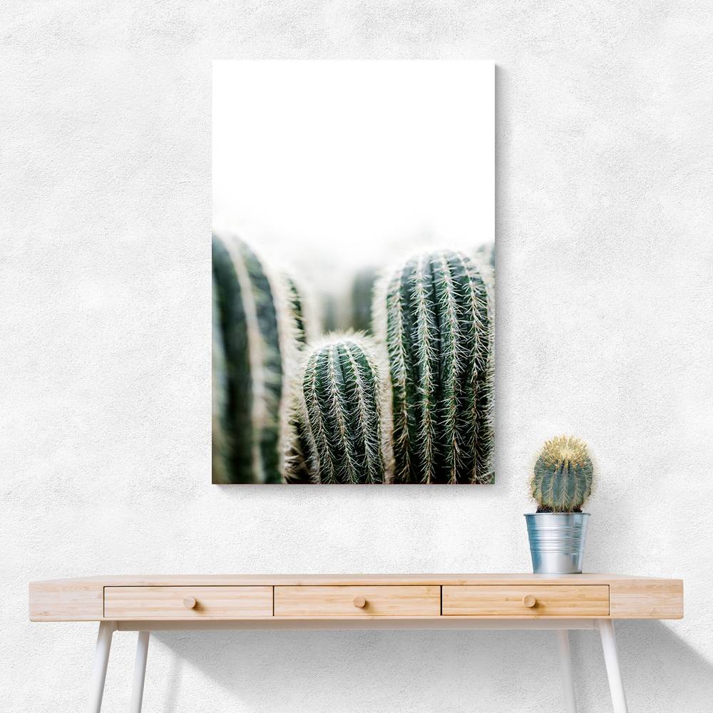 Cactus 1 Wall Art