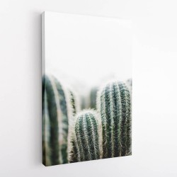 Cactus 1 Wall Art