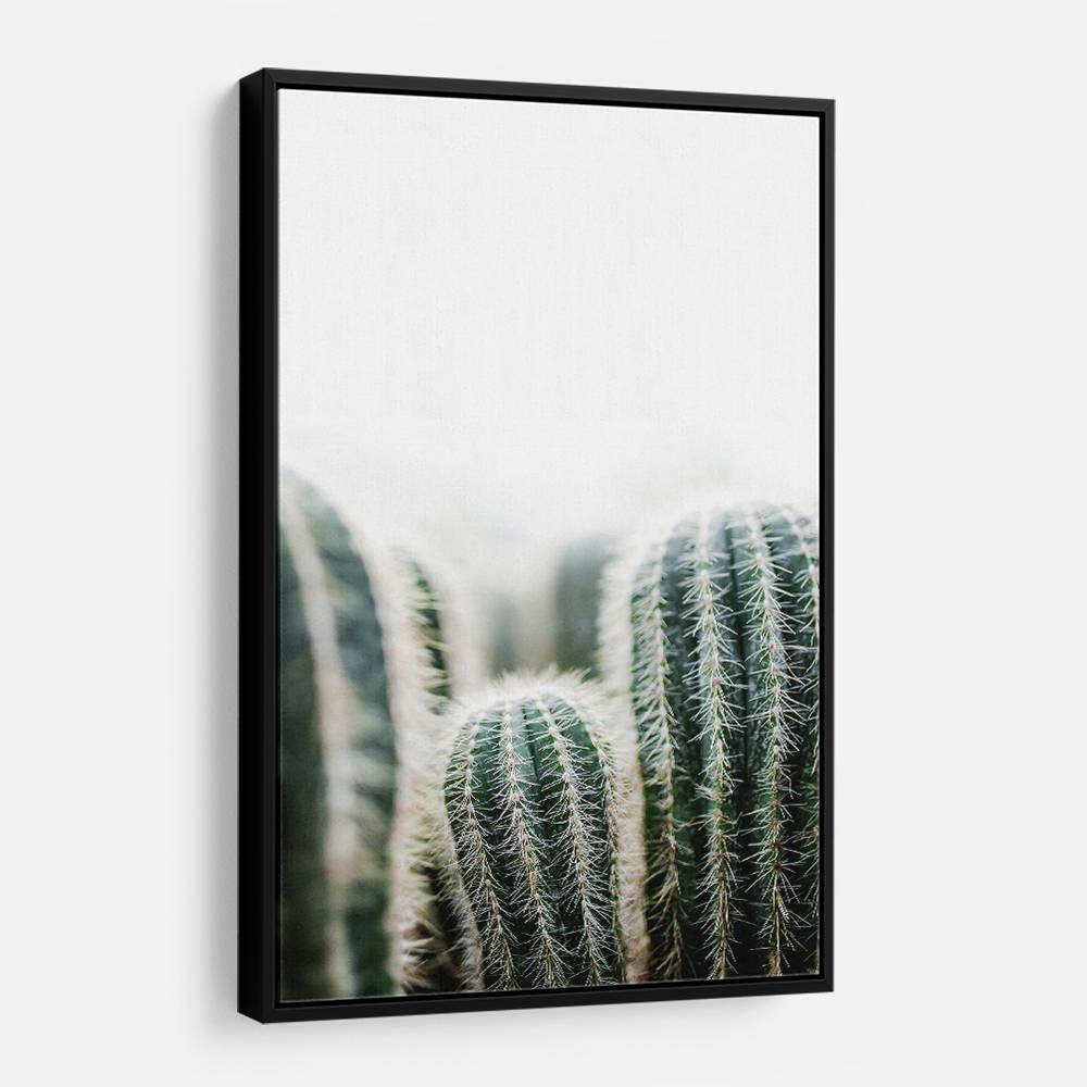 Cactus 1 Wall Art