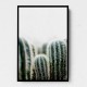 Cactus 1 Wall Art