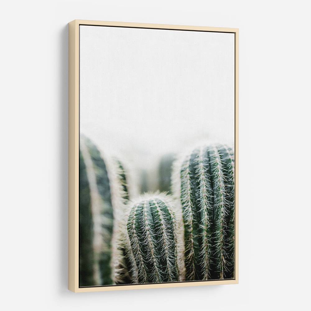 Cactus 1 Wall Art