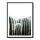 Cactus 1 Wall Art