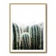 Cactus 1 Wall Art