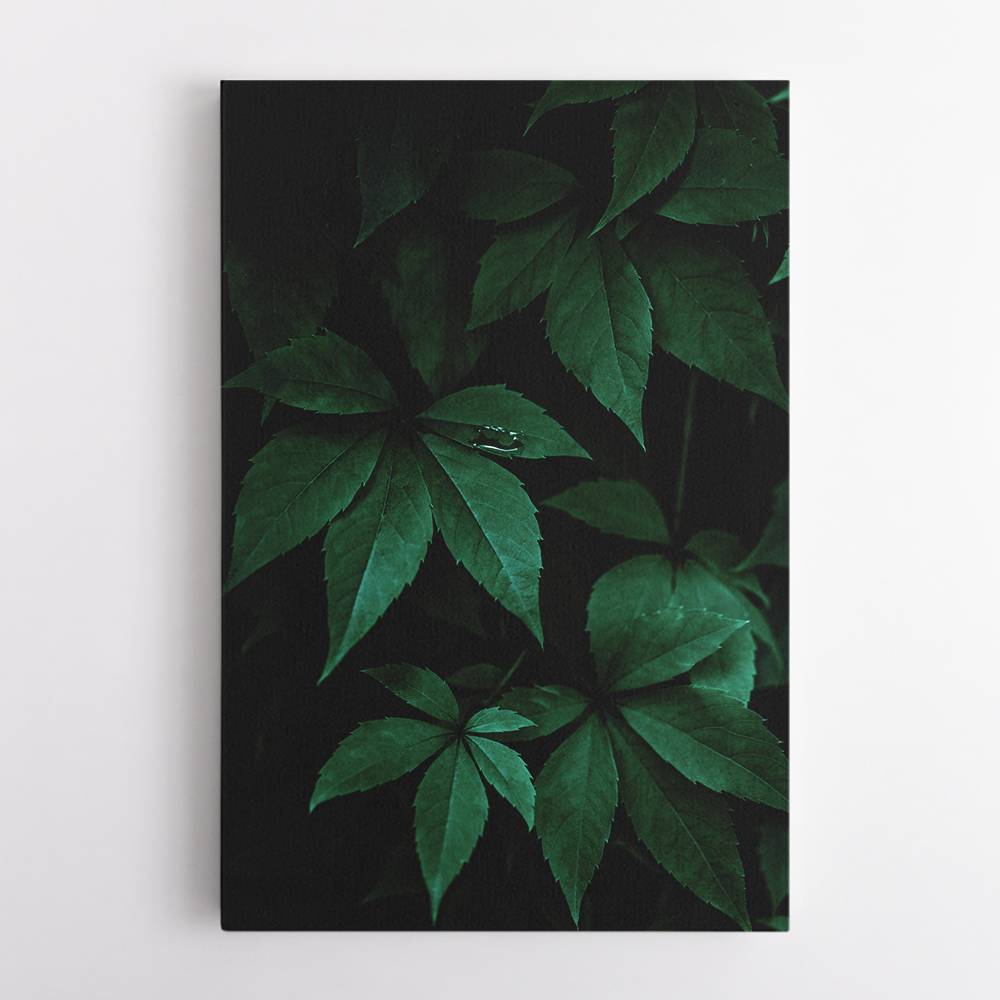 Dark Leaves 7 Wall Art