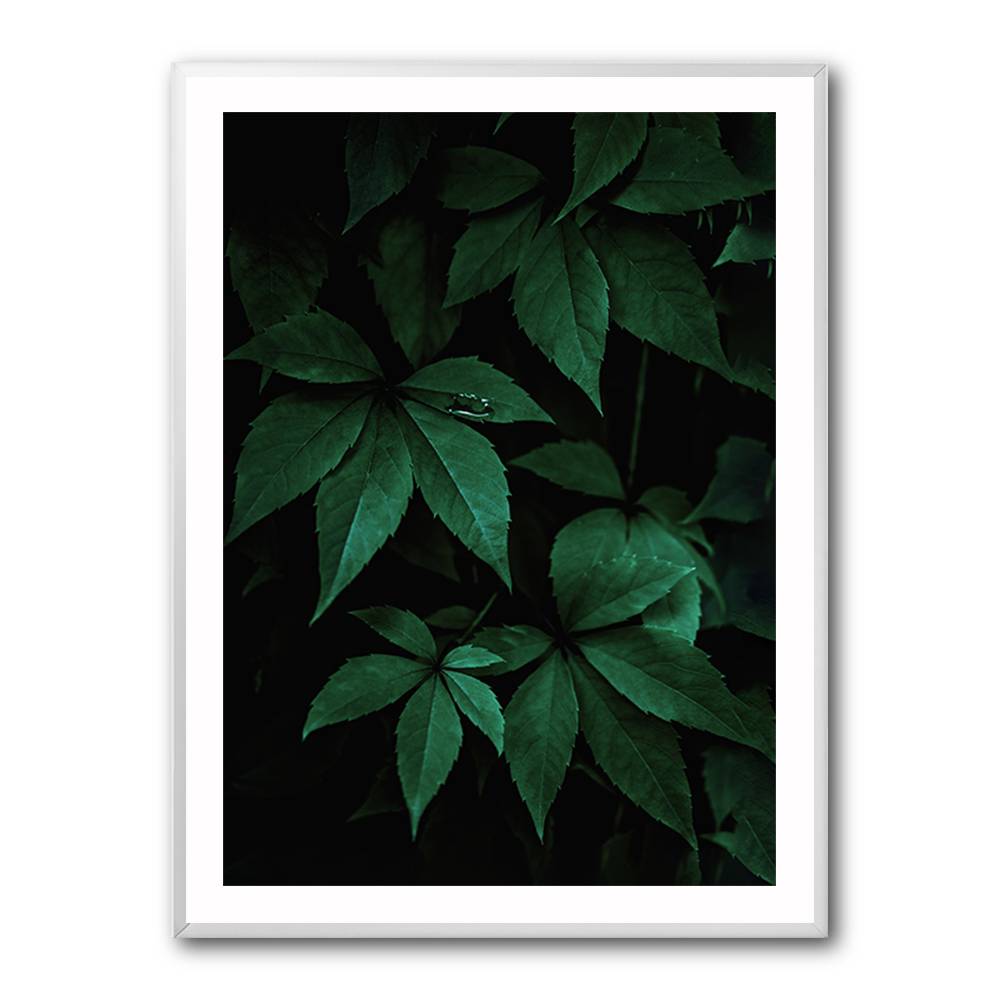 Dark Leaves 7 Wall Art