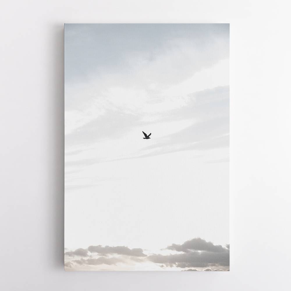 Flying High Wall Art