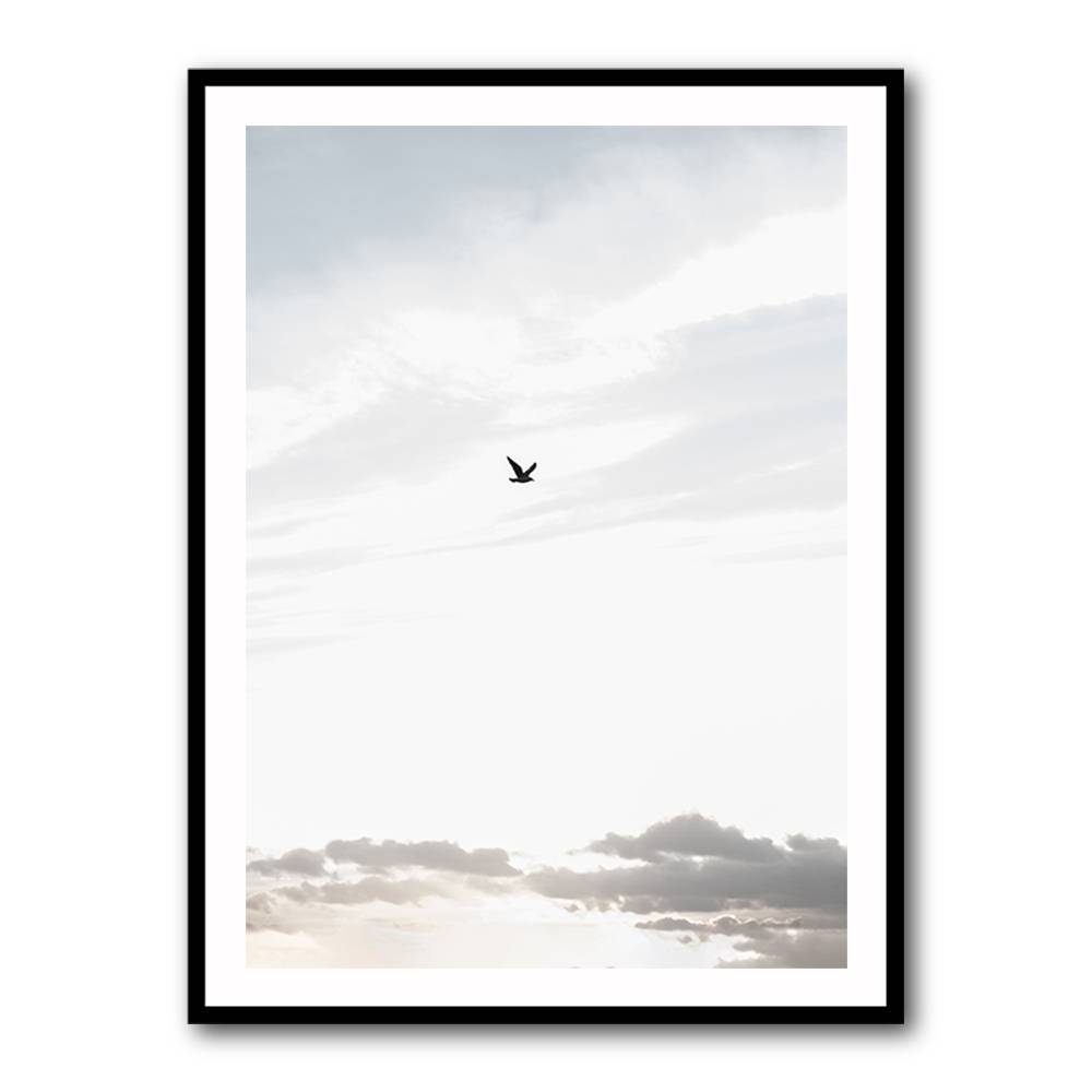 Flying High Wall Art