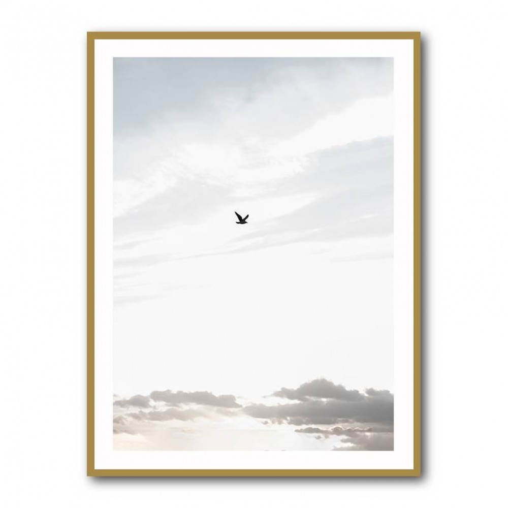 Flying High Wall Art