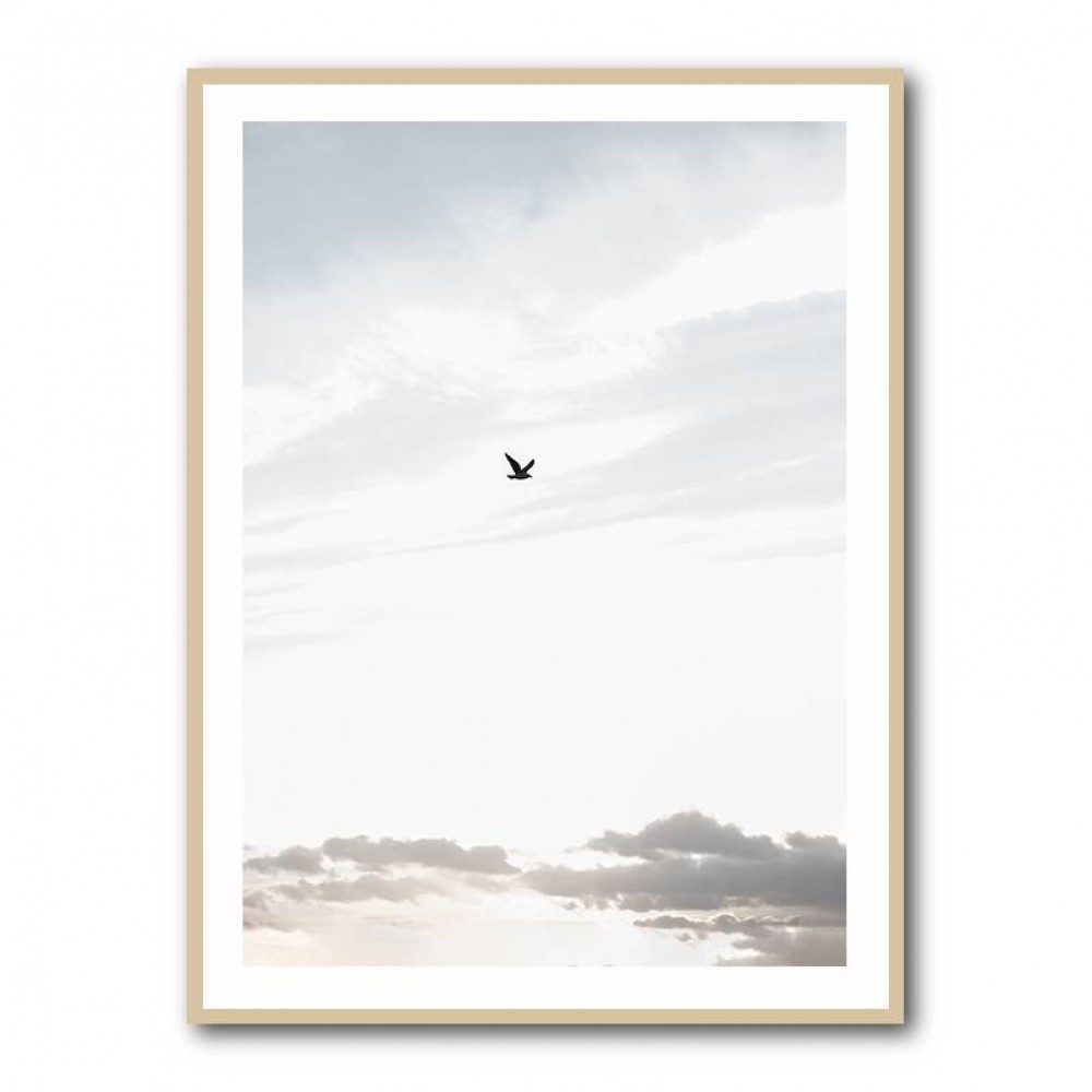 Flying High Wall Art