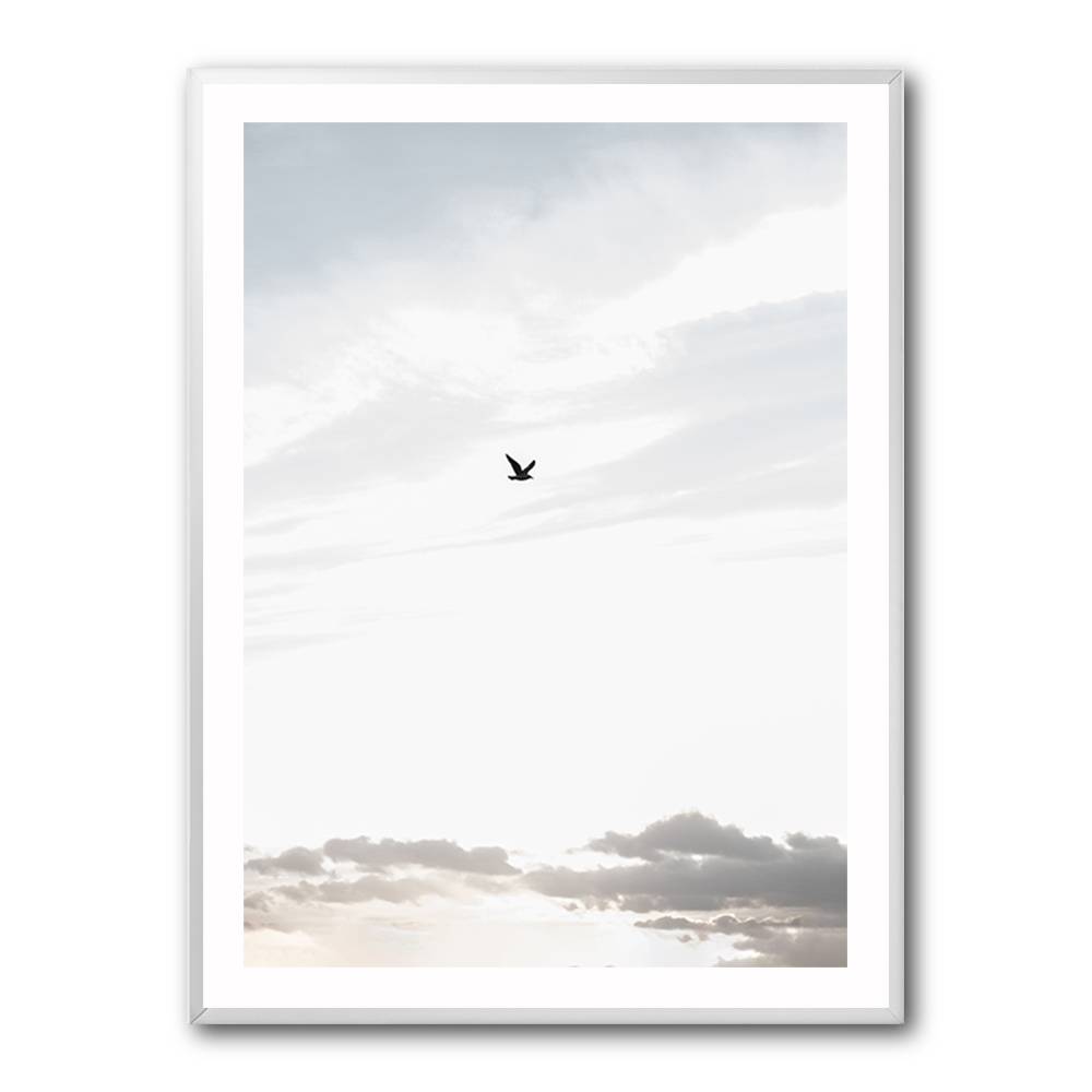 Flying High Wall Art