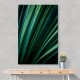 Green Straws 2 Wall Art