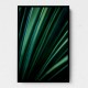 Green Straws 2 Wall Art