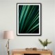 Green Straws 2 Wall Art