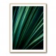 Green Straws 2 Wall Art