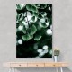 Ginko 1 Wall Art