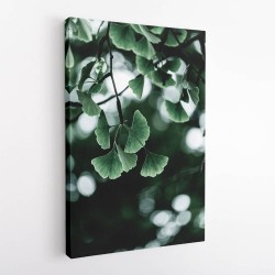 Ginko 1 Wall Art