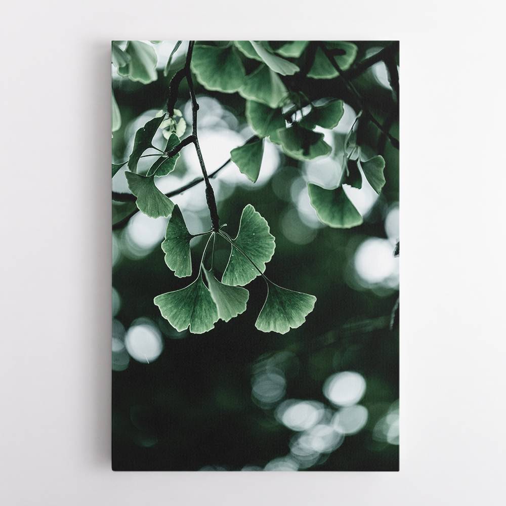 Ginko 1 Wall Art