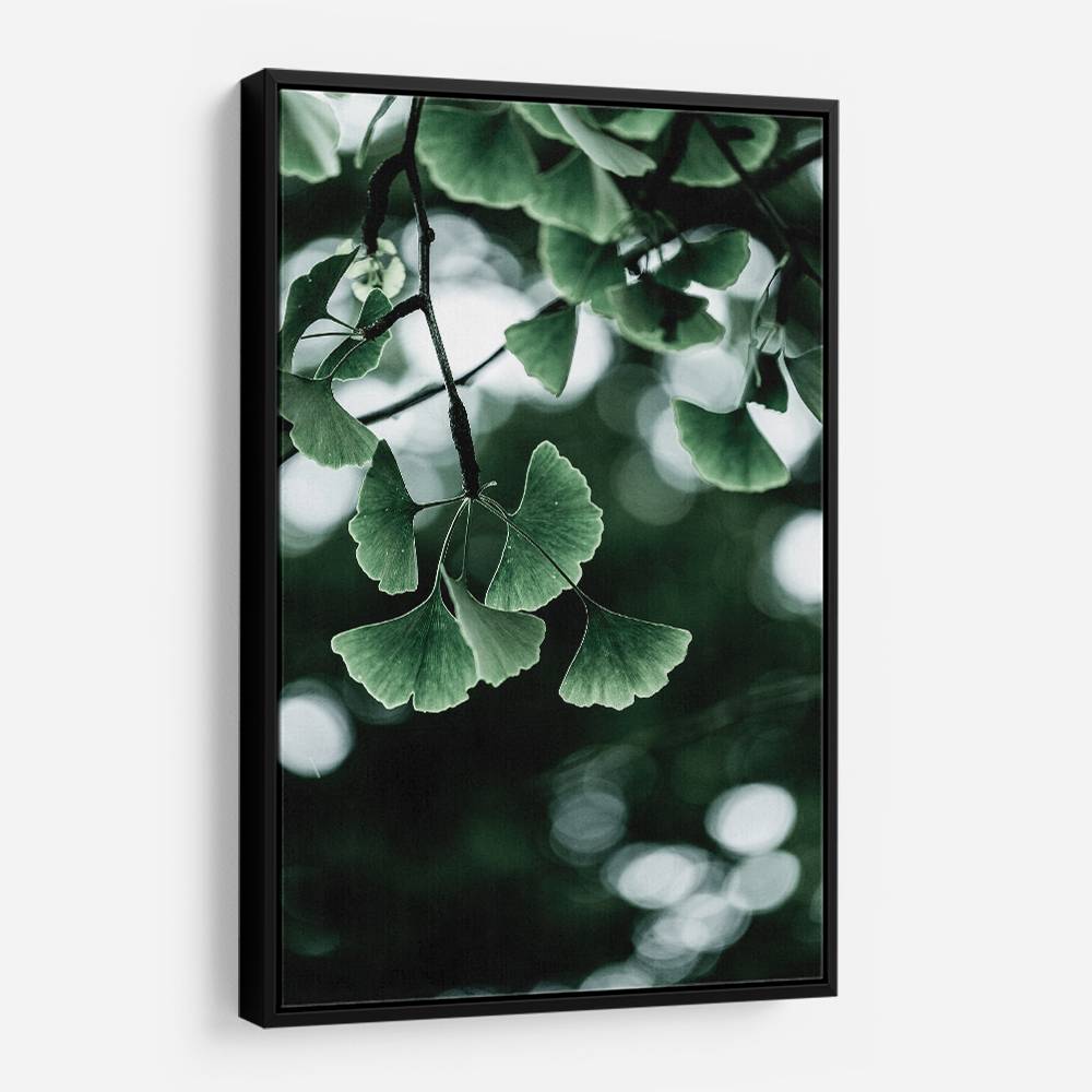 Ginko 1 Wall Art