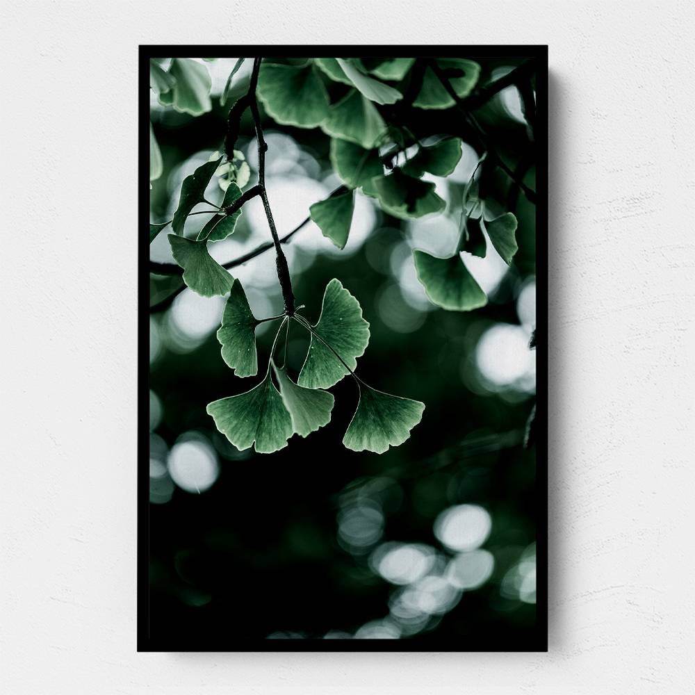 Ginko 1 Wall Art