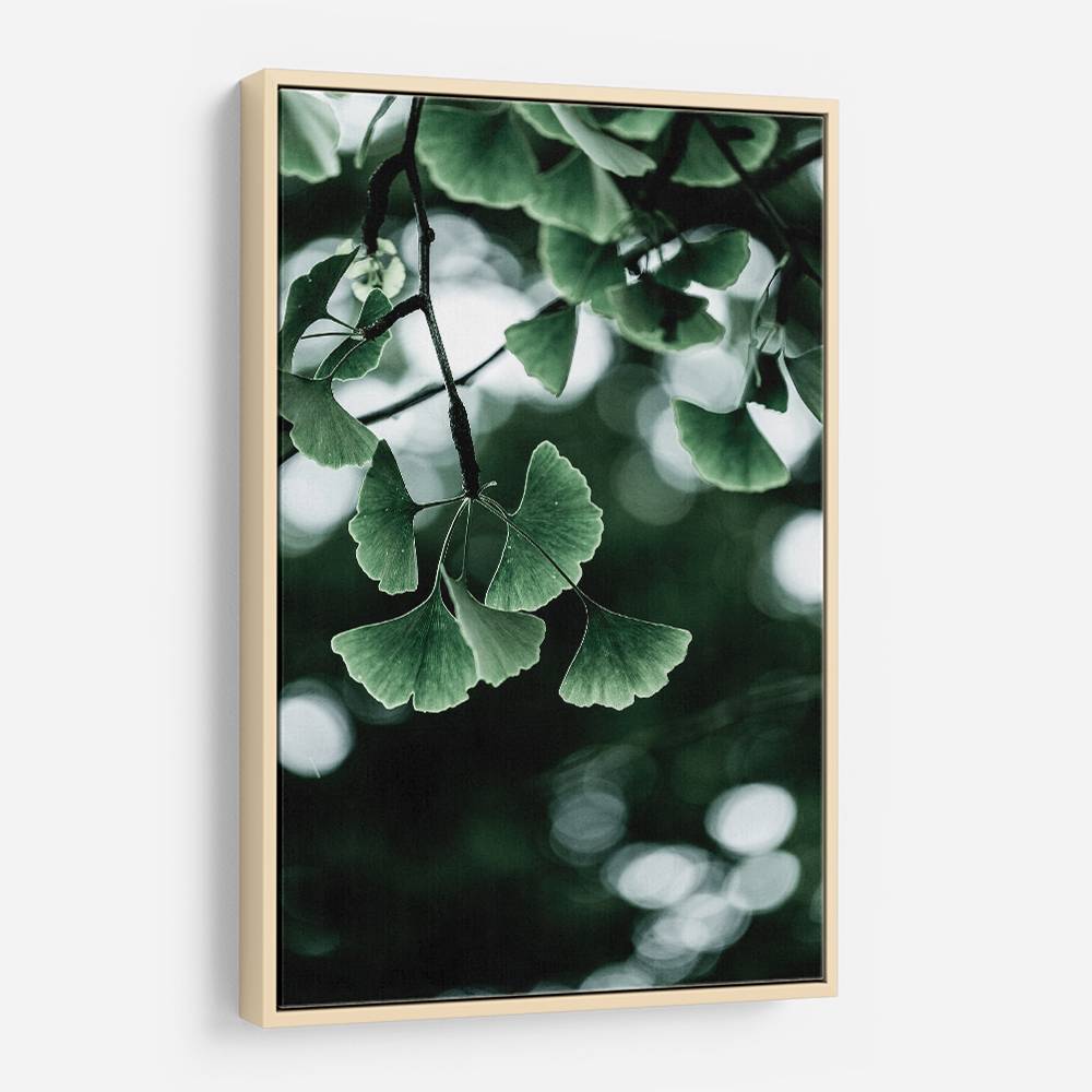 Ginko 1 Wall Art