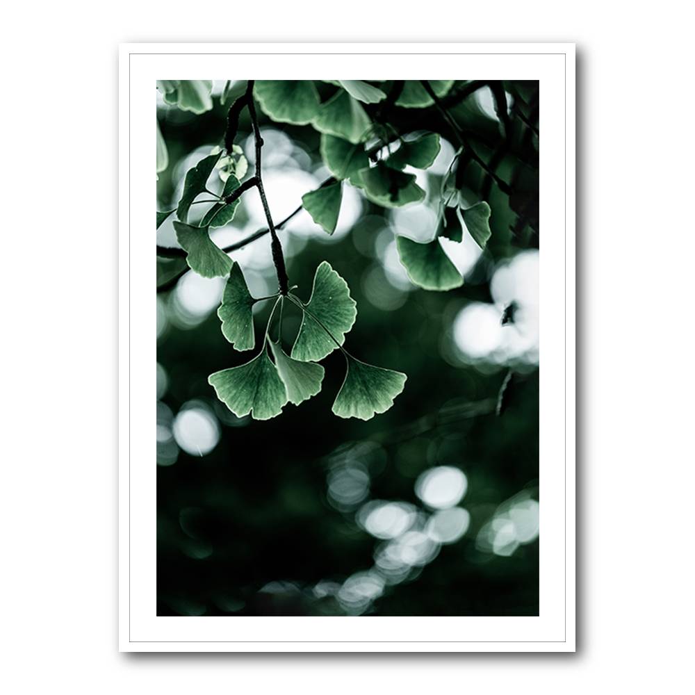 Ginko 1 Wall Art