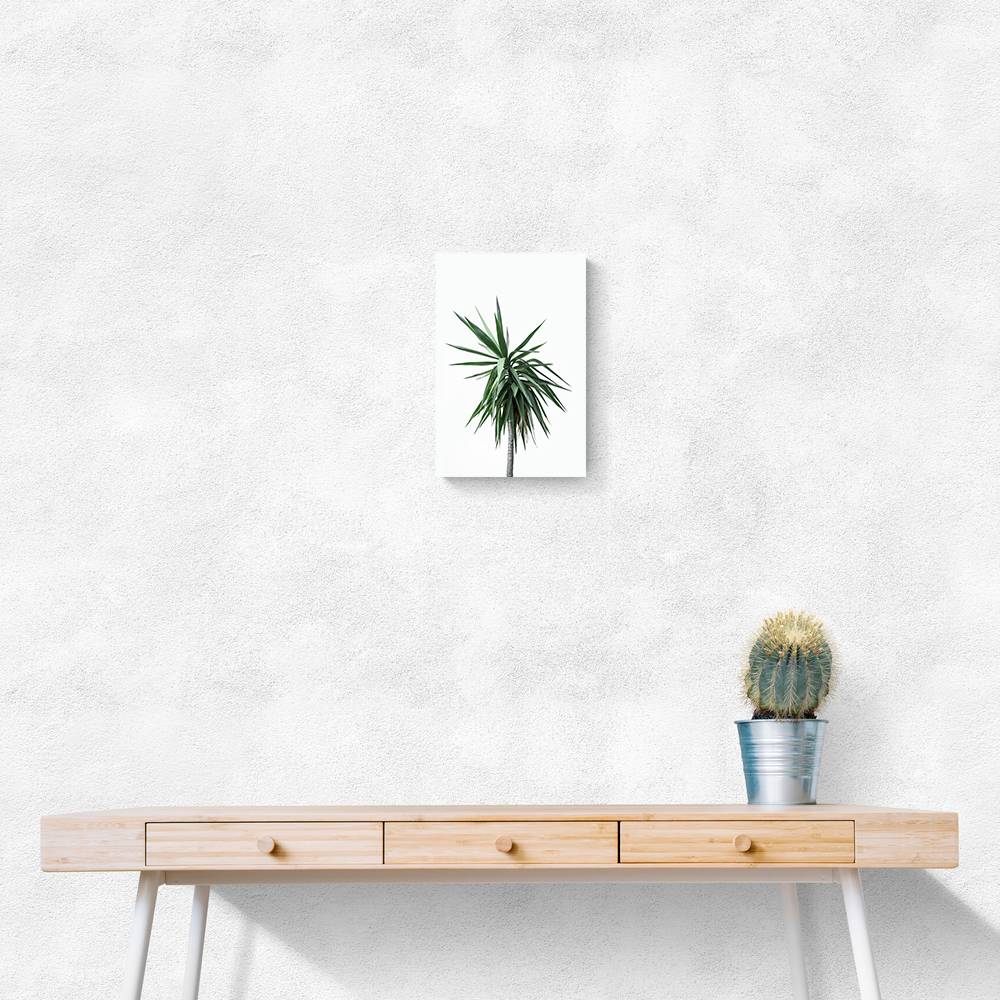 Palm Trees 11 Wall Art