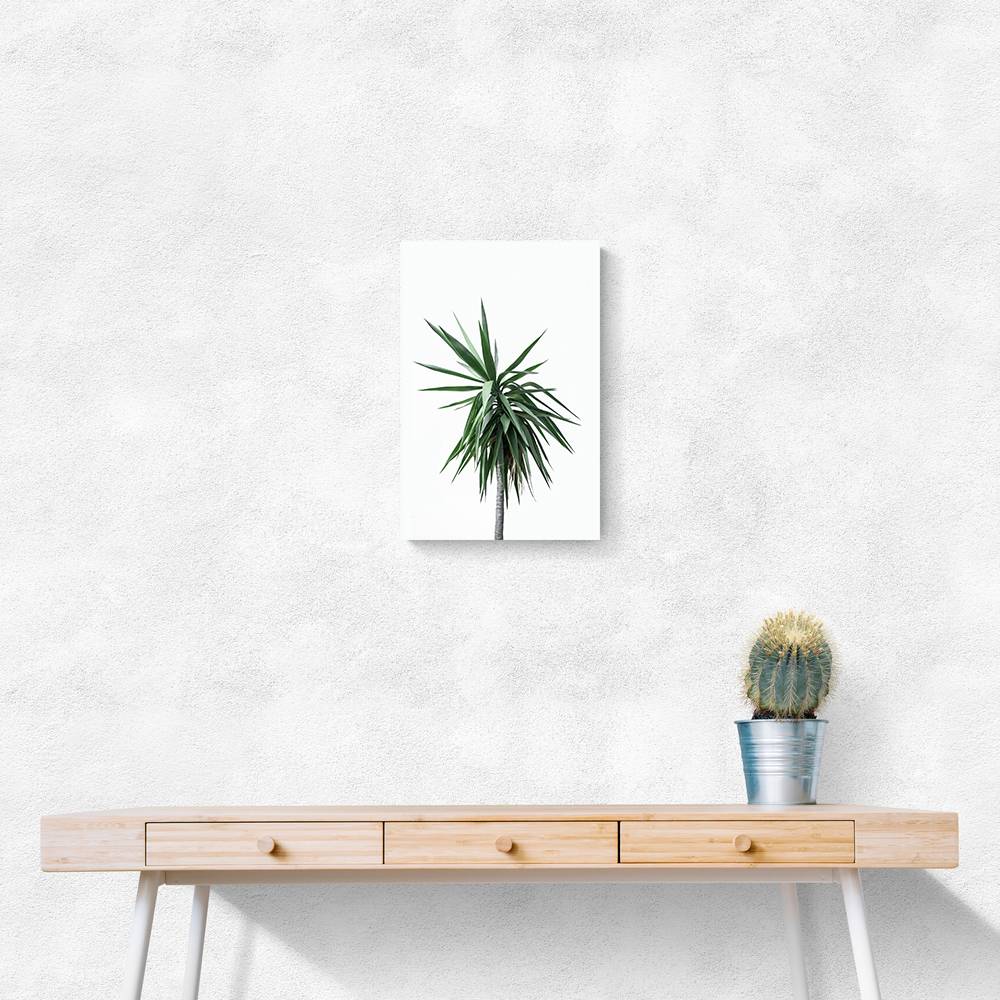 Palm Trees 11 Wall Art