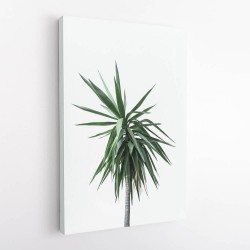 Palm Trees 11 Wall Art