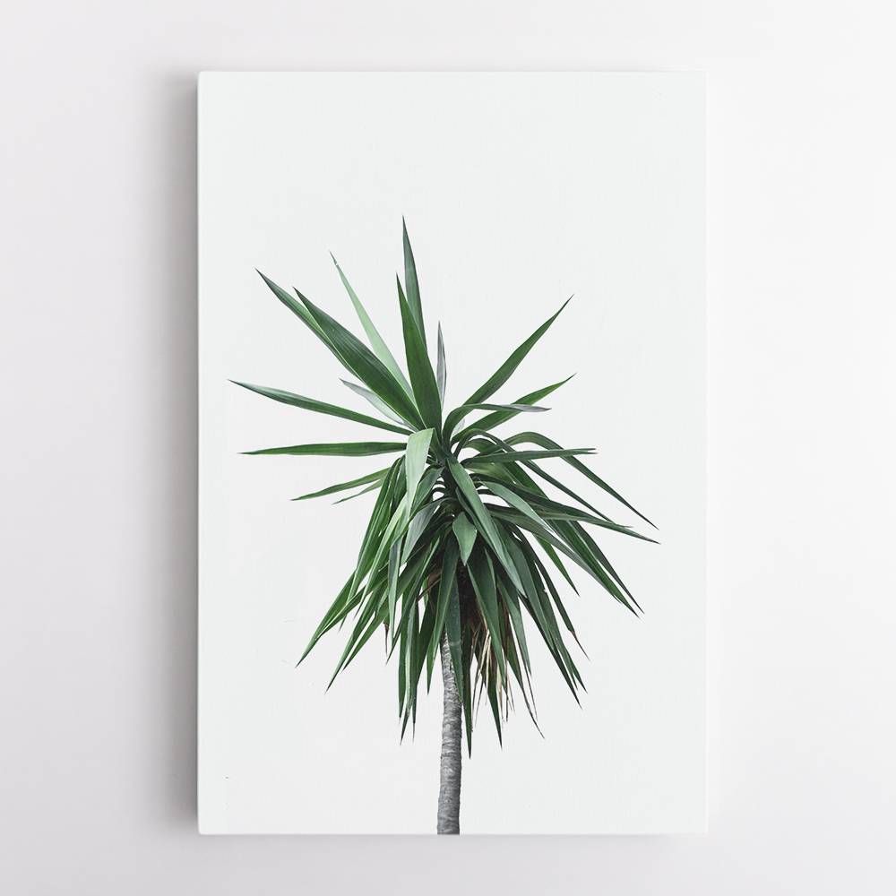 Palm Trees 11 Wall Art