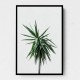 Palm Trees 11 Wall Art